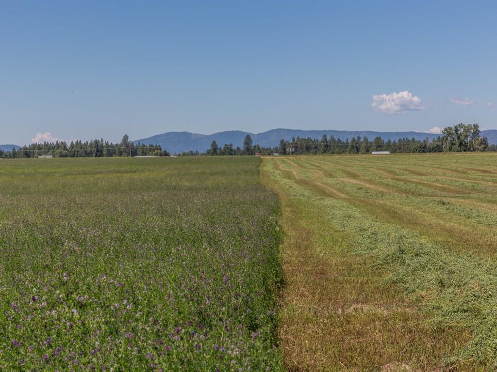 32405 North Division Road Deer Park, WA 99006 - Photo 6 of 13 Gallery Image 6