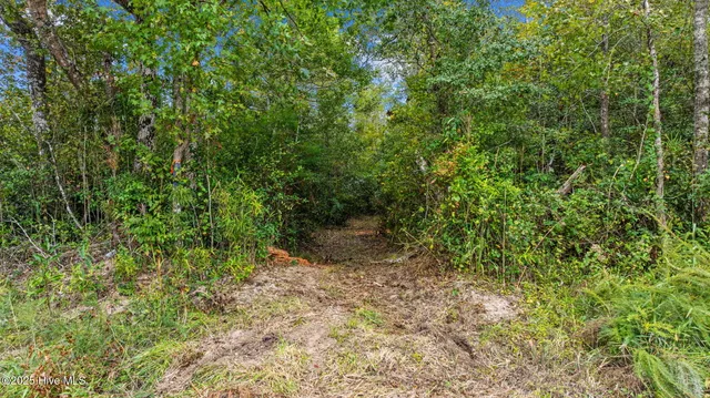 $270,000 | 323 Big Avenue, Tabor City, NC 28463