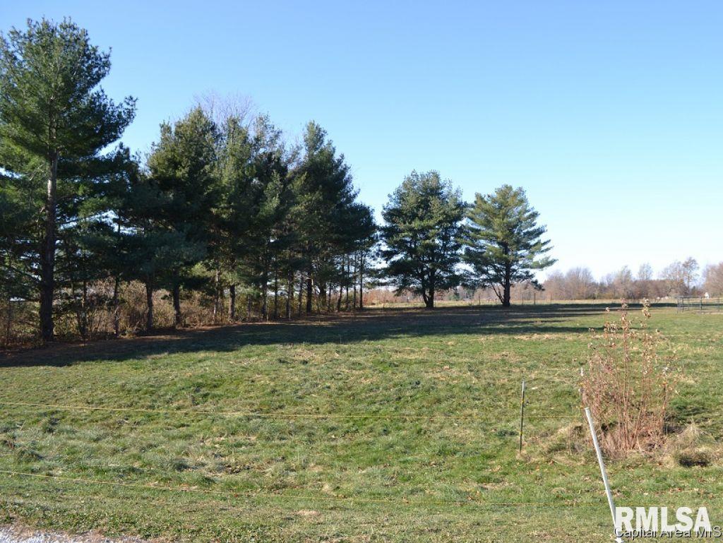 103 Regent Estate Road Jacksonville, IL 62650 - Photo 3 of 3