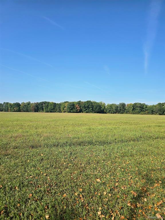 9750 East Mike And Tony Road Merritt, MI 49667 - Photo 9 of 15 Gallery Image 9
