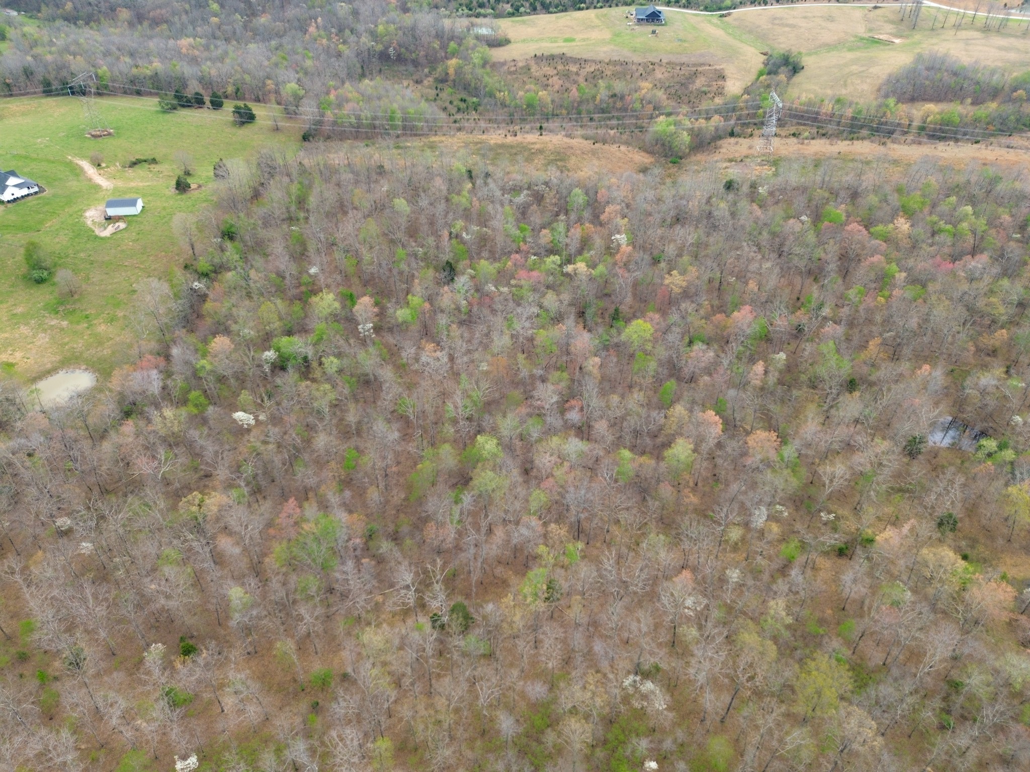 0 Mcelhiney Road Dickson, TN 37055 - Photo 48 of 56 Gallery Image 48