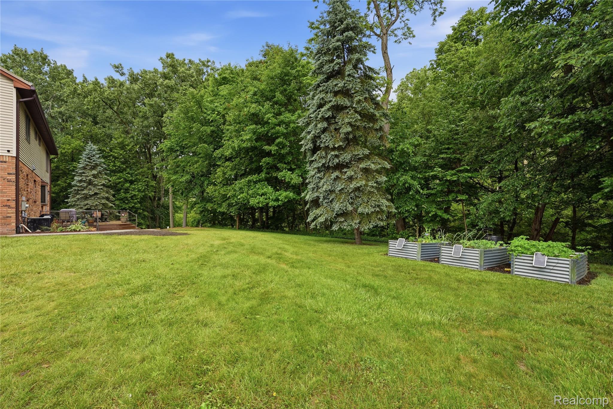 68345 Romeo Plank Road Ray, MI 48096 - Photo 13 of 52 Expansive green lawn framed by mature trees, featuring three corrugated metal raised garden beds