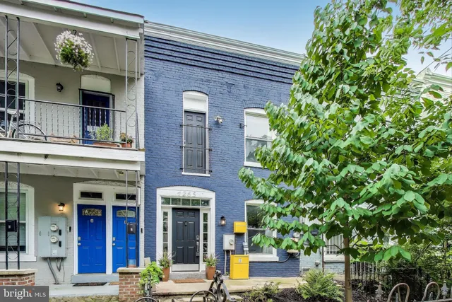 a view of a backyard with plants and garden
