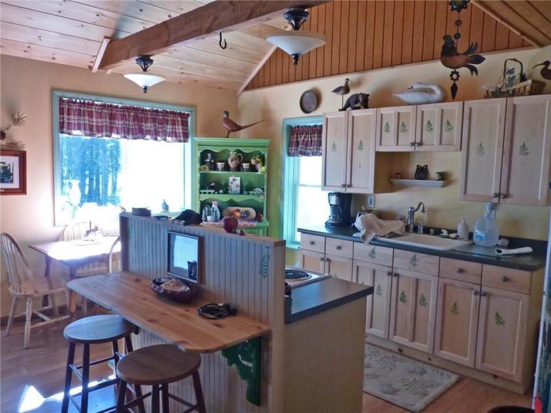 99 Silsby Road Mariaville, ME 04605 - Photo 7 of 18 Kitchen