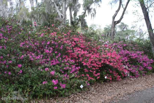 1197 Wedgewood Road Jacksonville, FL 32259 - Photo 43 of 44 Yard