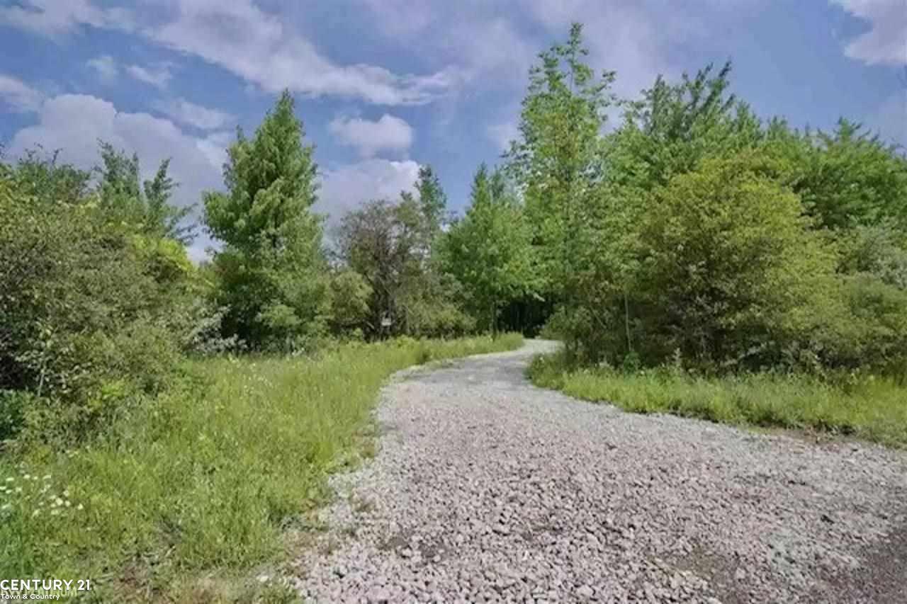 0 Meskill Road Richmond, MI 48062 - Photo 4 of 14