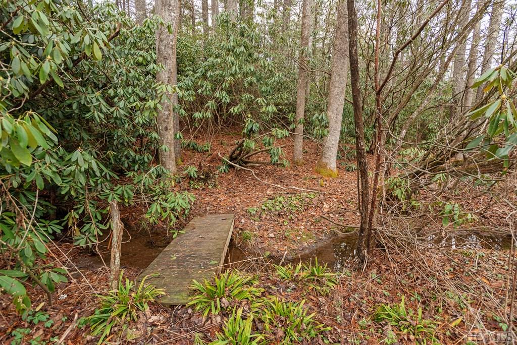 107 Lance Road Cashiers, NC 28717 - Photo 28 of 41 Gallery Image 28