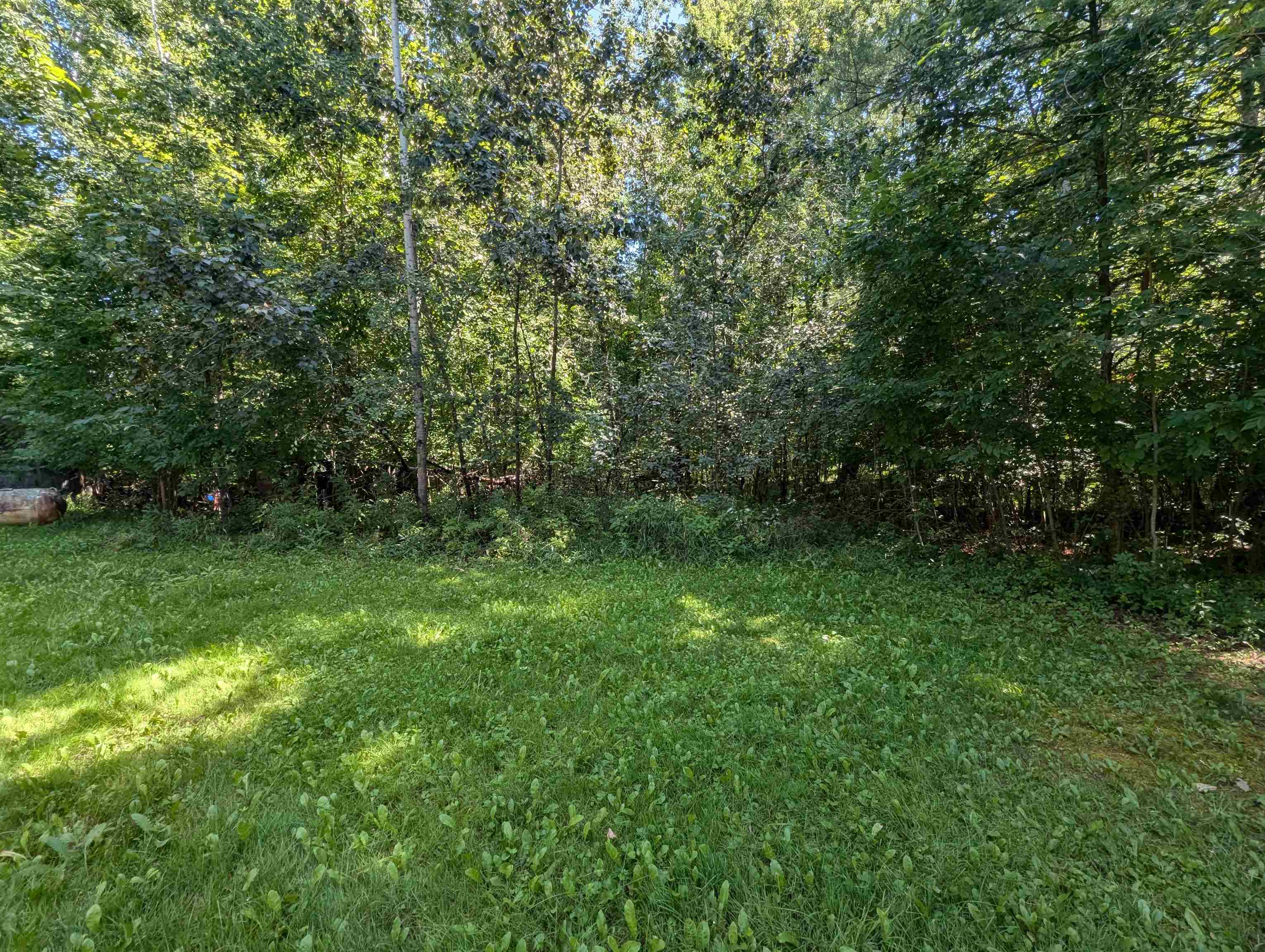 1814 Delano Road Turner, MI 48765 - Photo 6 of 20