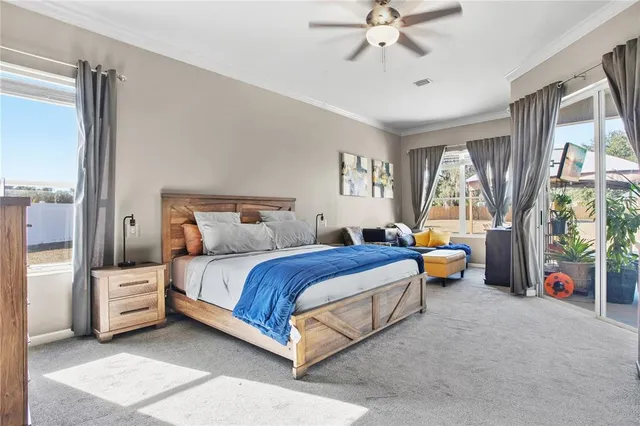 a bed room with a bed and a chandelier