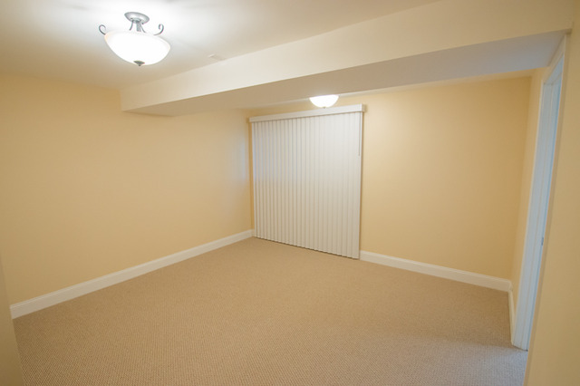 266 Cherrywood Road Buffalo Grove, IL 60089 - Photo 12 of 22