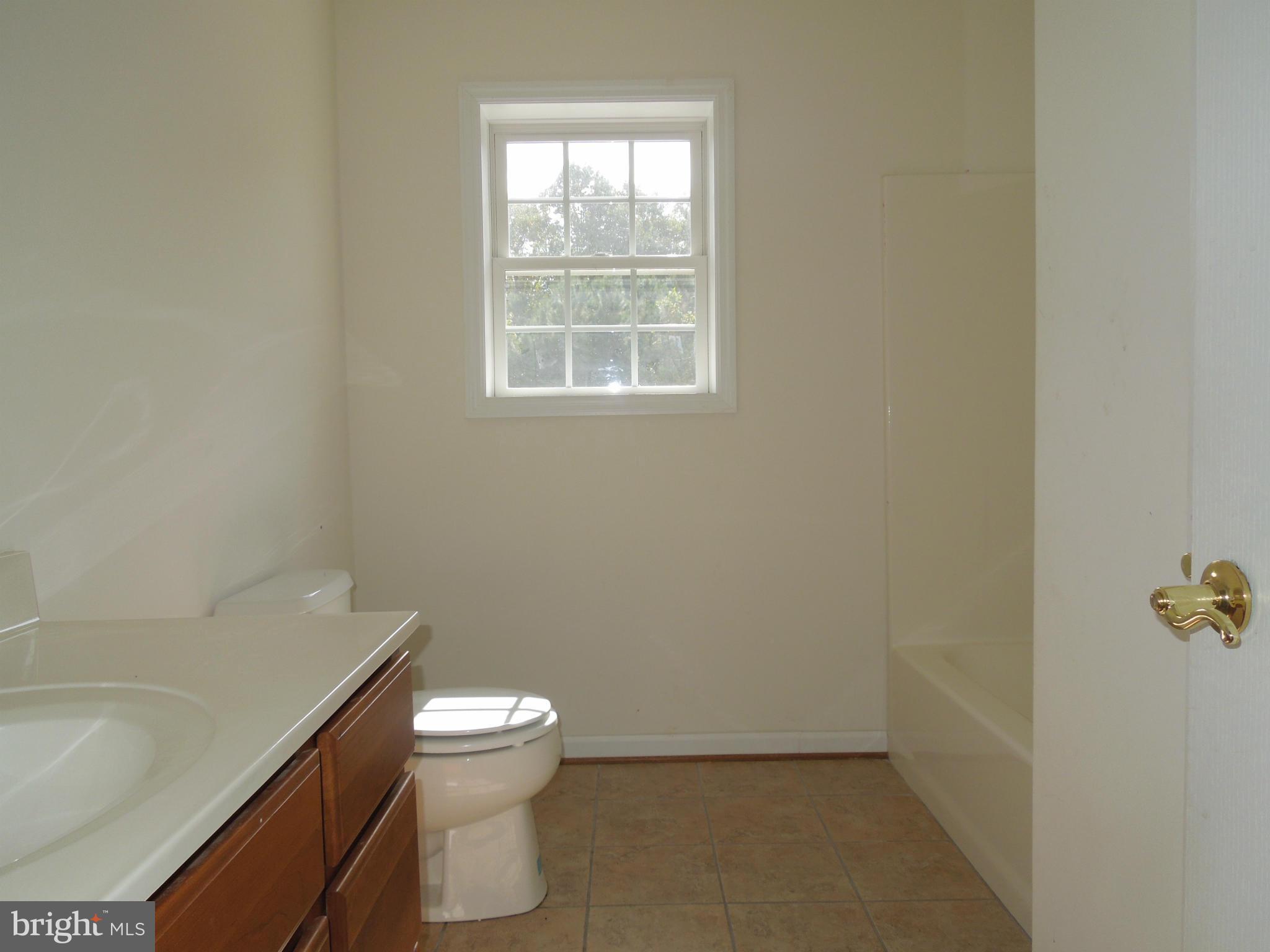 7465 Harmony Road Preston, MD 21655 - Photo 20 of 30 a bathroom with a toilet a sink and a bathtub