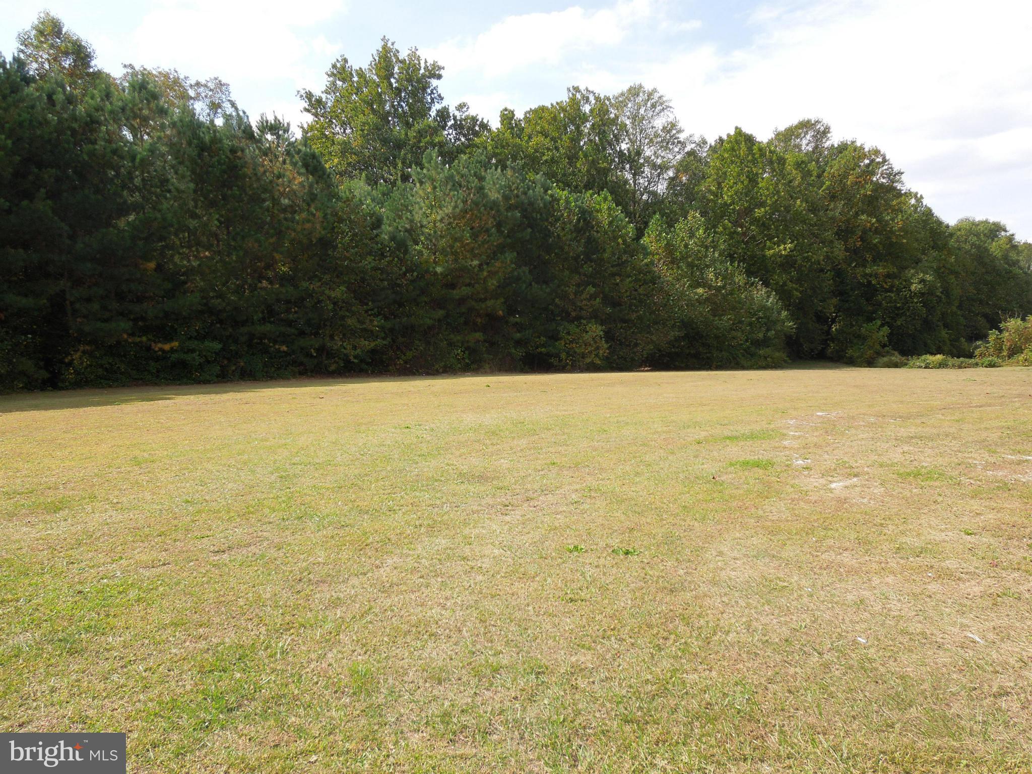 7465 Harmony Road Preston, MD 21655 - Photo 27 of 30 a view of an ocean from a yard