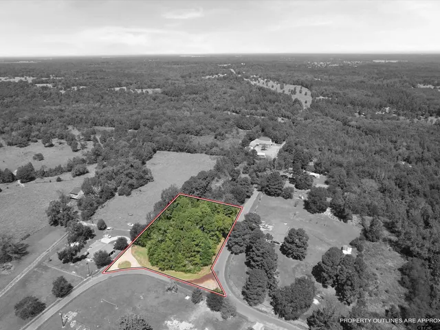 a view of a city with mountain
