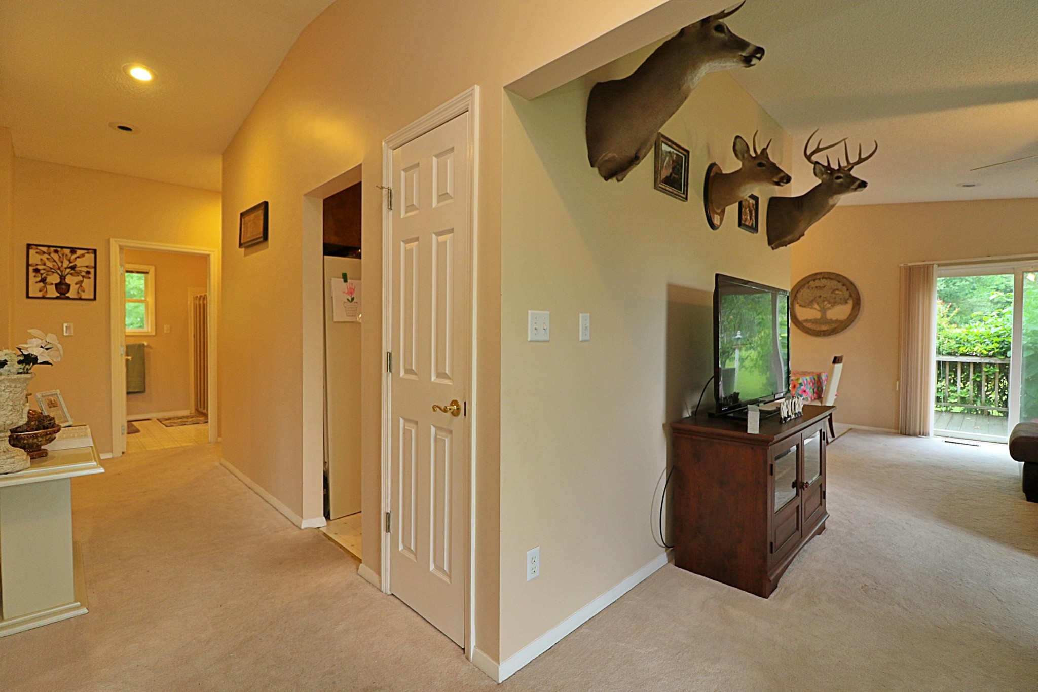 575 Grave Hill Road Oneida, TN 37841 - Photo 3 of 28 Gallery Image 3