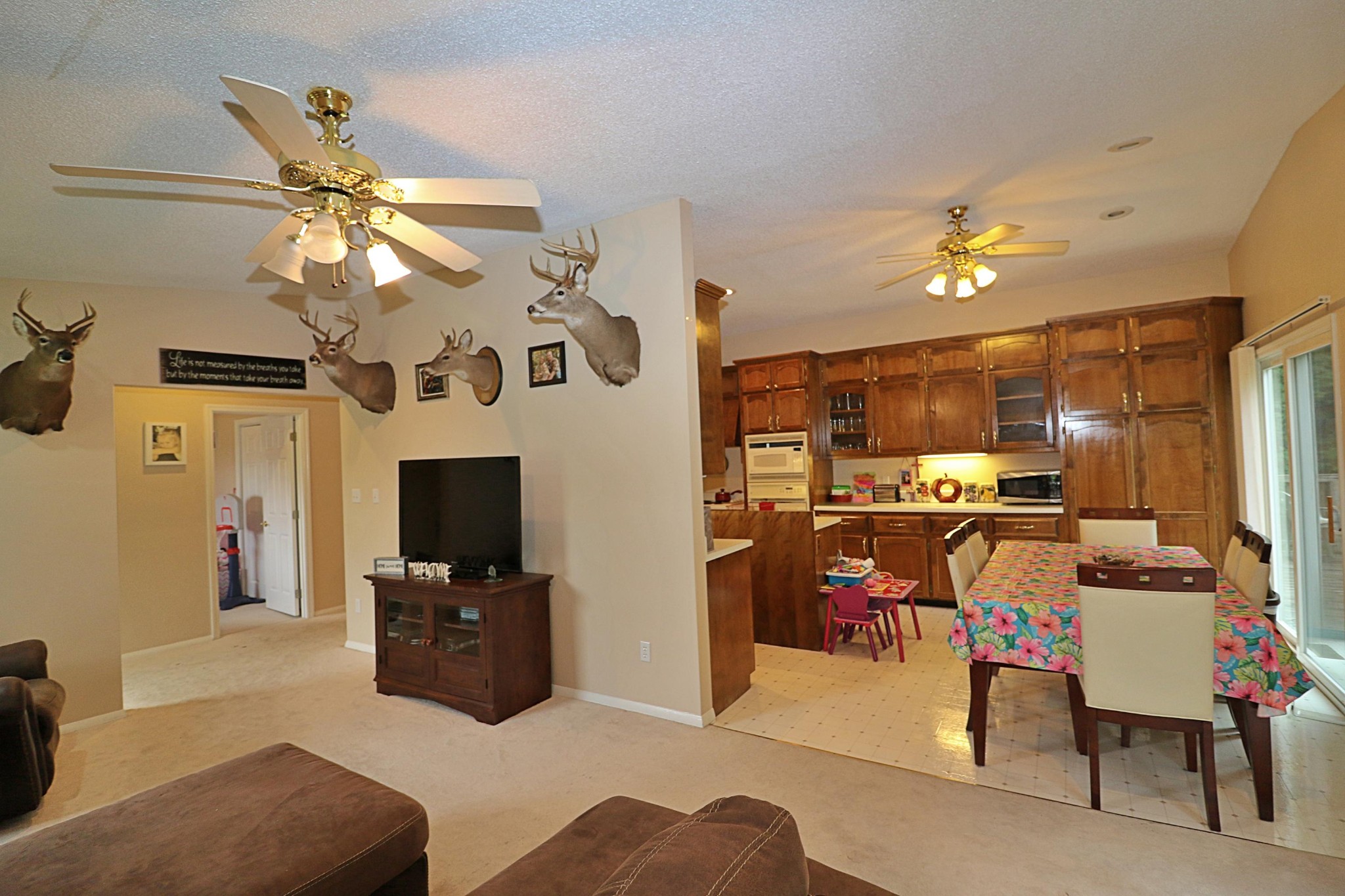 575 Grave Hill Road Oneida, TN 37841 - Photo 5 of 28 Gallery Image 5