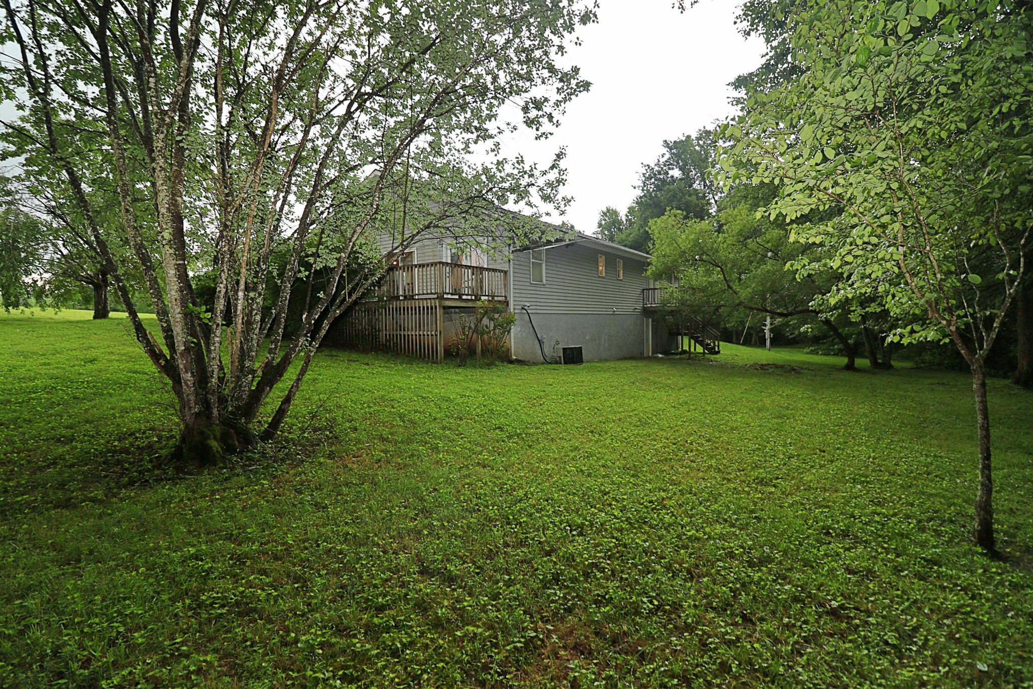 575 Grave Hill Road Oneida, TN 37841 - Photo 8 of 28 Gallery Image 8