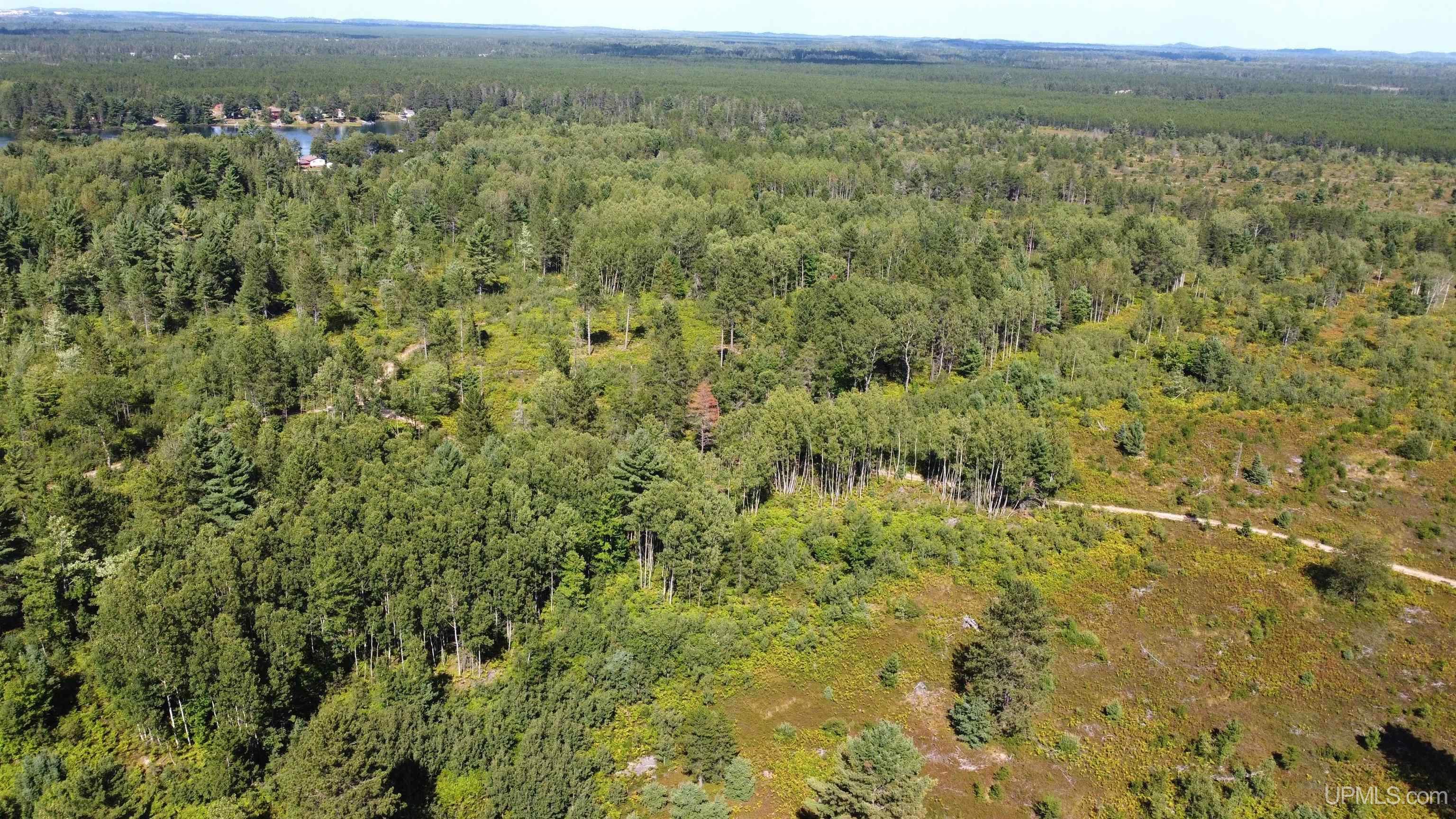 On South Bertrand Lake Road Gwinn, MI 49841 - Photo 12 of 20