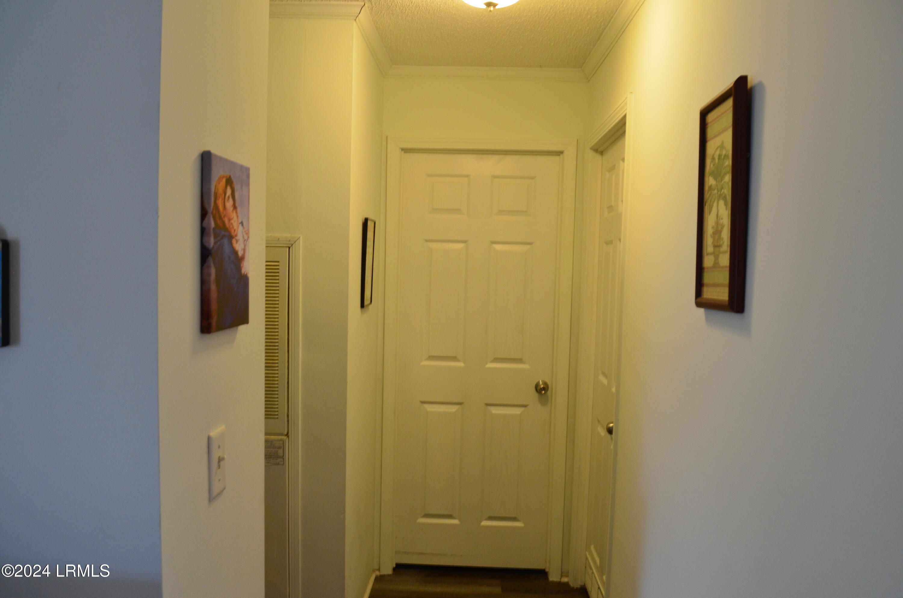 32 Gazebo Road St. Helena Island, SC 29920 - Photo 11 of 53 Hallway View