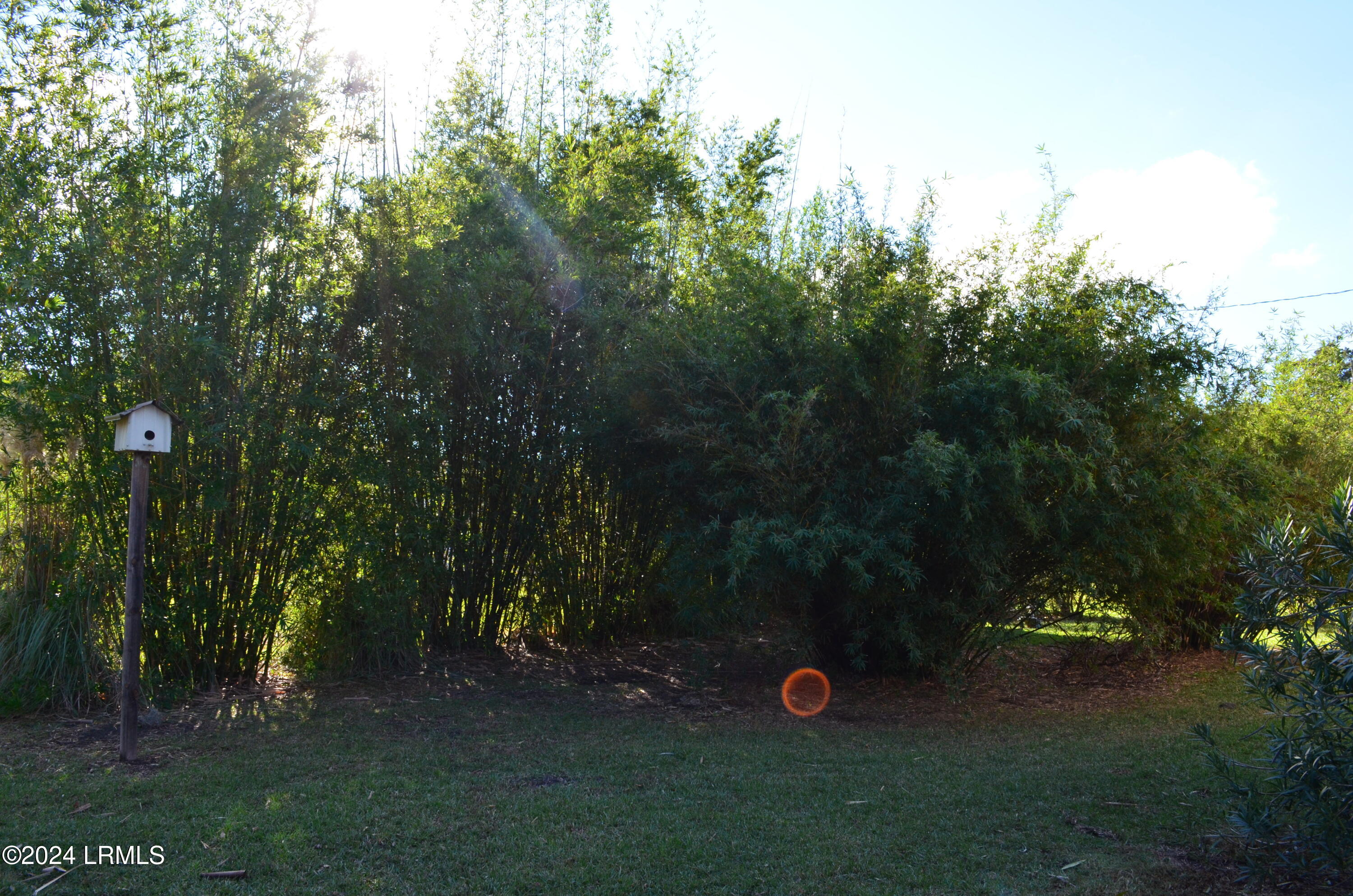 32 Gazebo Road St. Helena Island, SC 29920 - Photo 38 of 53 Butteryfly Garden