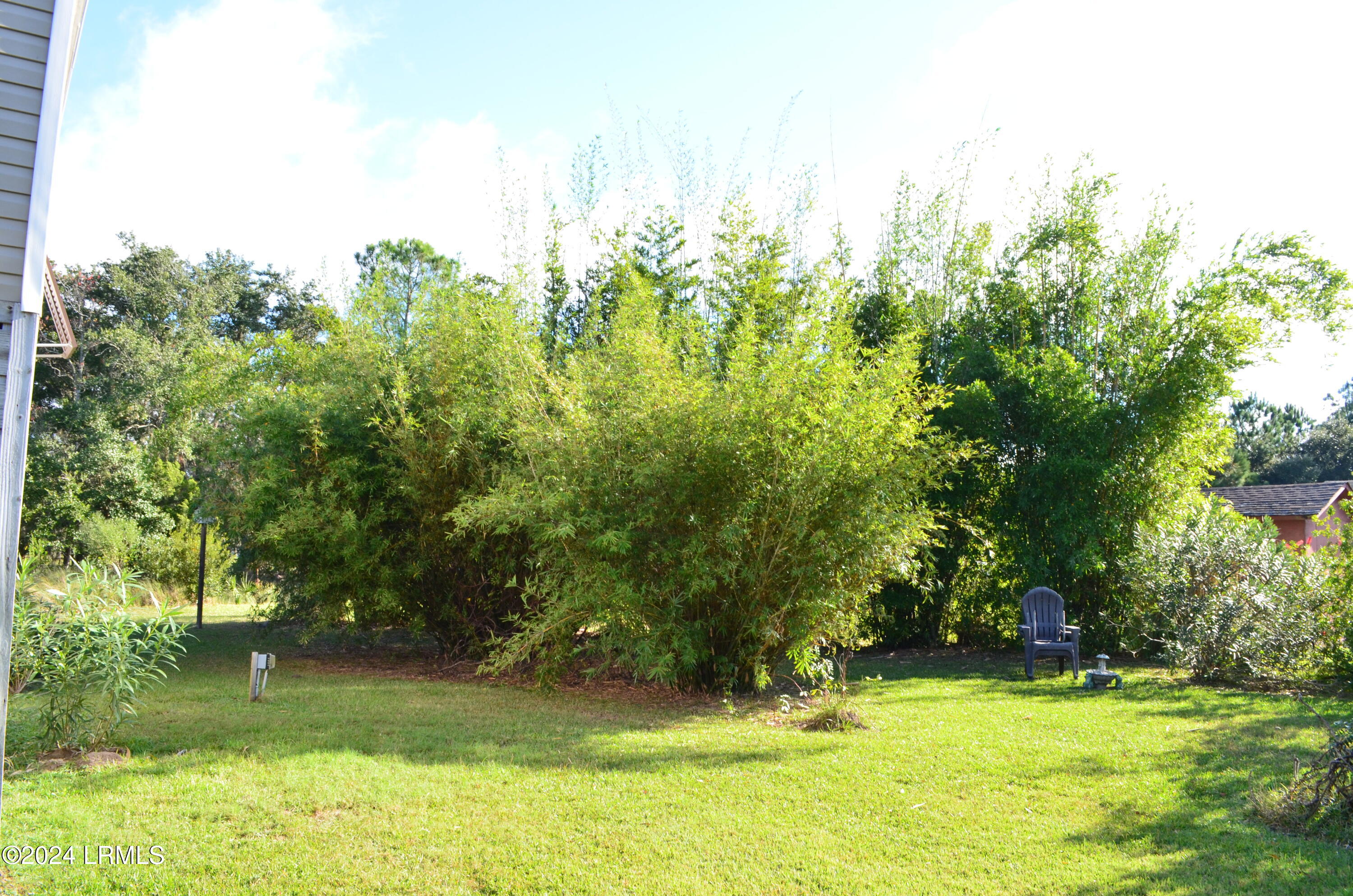 32 Gazebo Road St. Helena Island, SC 29920 - Photo 40 of 53 Bamboo and Bottle Brush