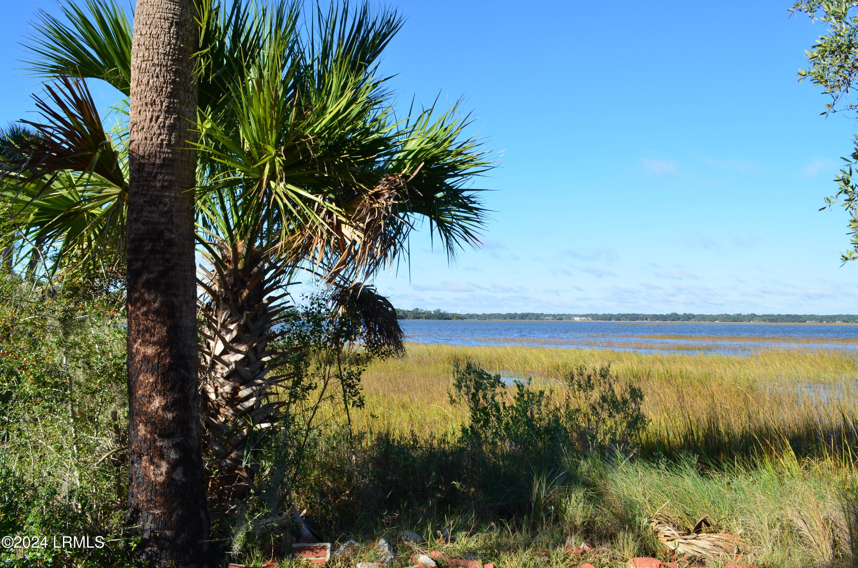 32 Gazebo Road St. Helena Island, SC 29920 - Photo 46 of 53 Marshviews