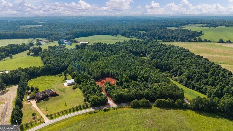 0 Shirey Dairy Road Carrollton, GA 30117 - Photo 12 of 19