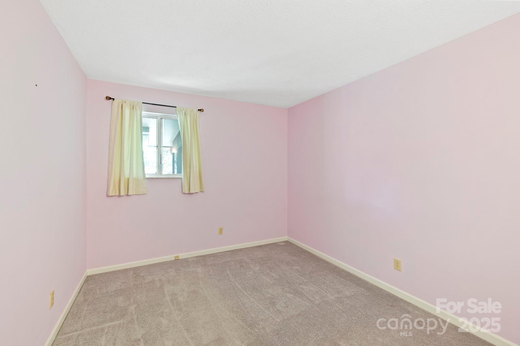 41 Deep Woods Road Mills River, NC 28759 - Photo 17 of 27