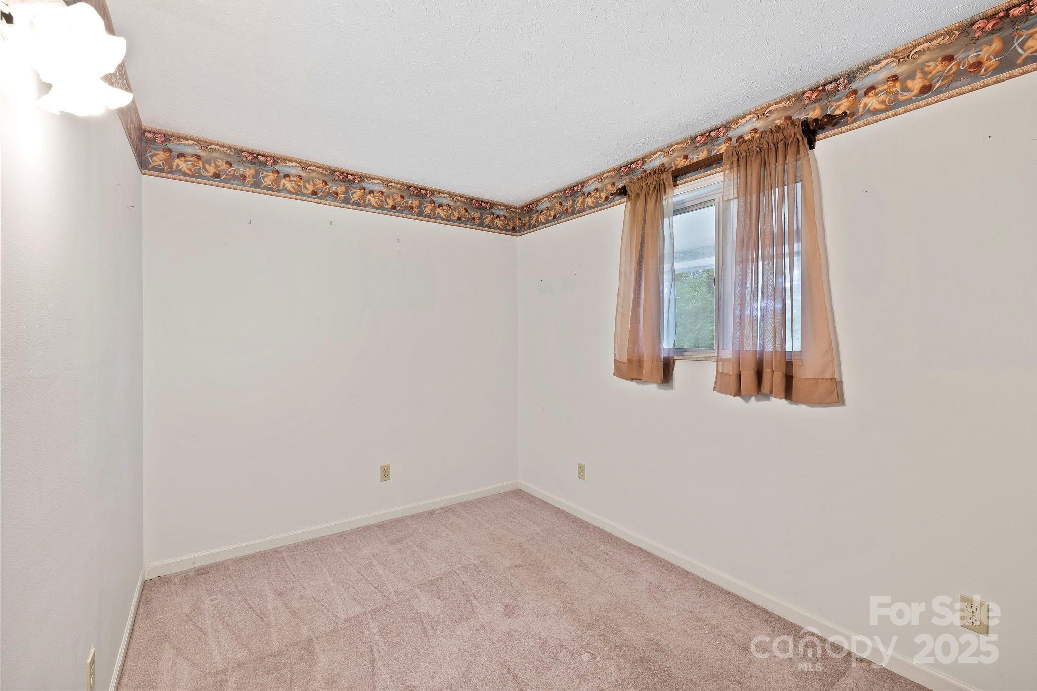 41 Deep Woods Road Mills River, NC 28759 - Photo 18 of 27