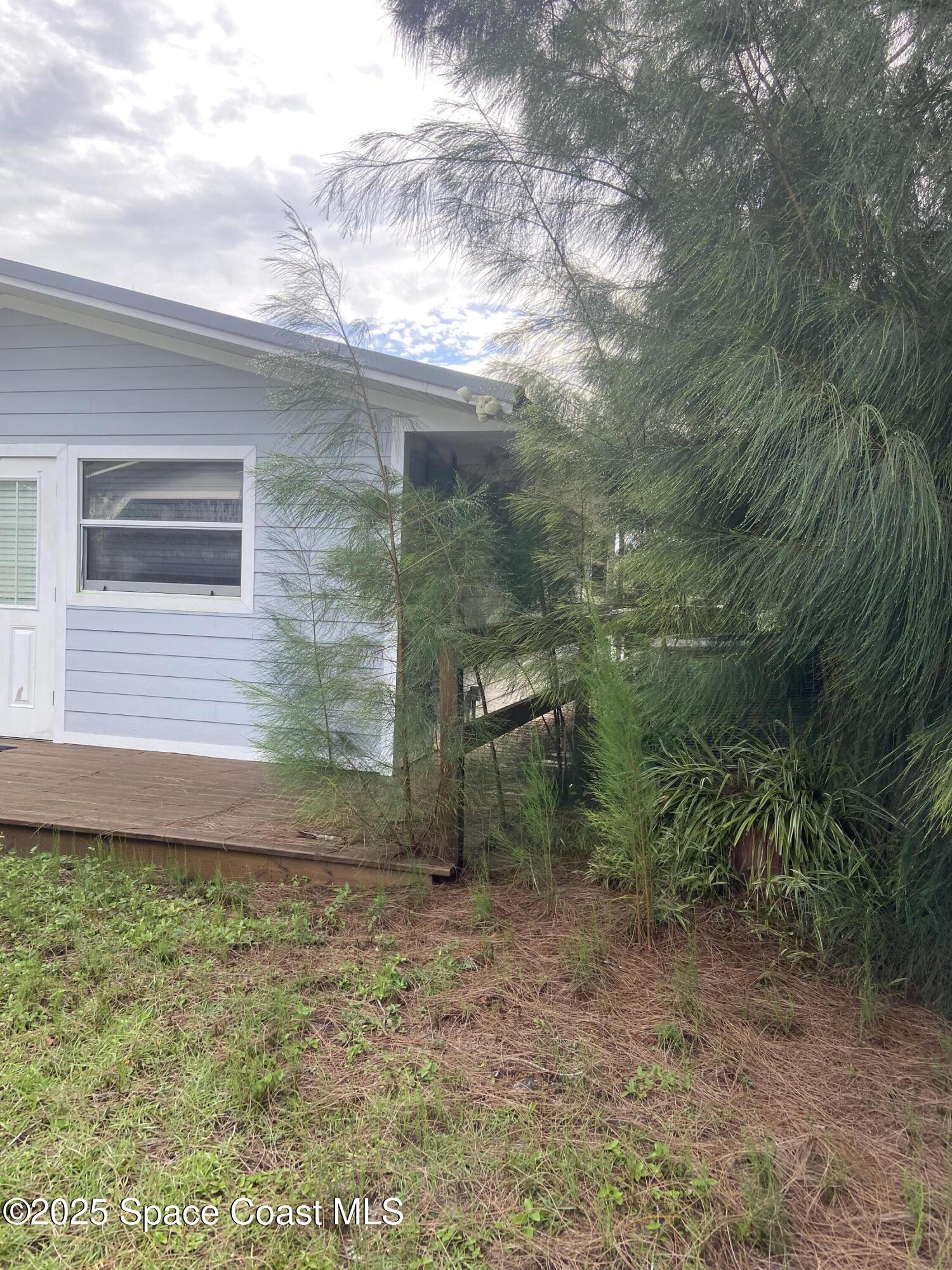4655 Rector Road Cocoa, FL 32926 - Photo 26 of 45 a view of a backyard
