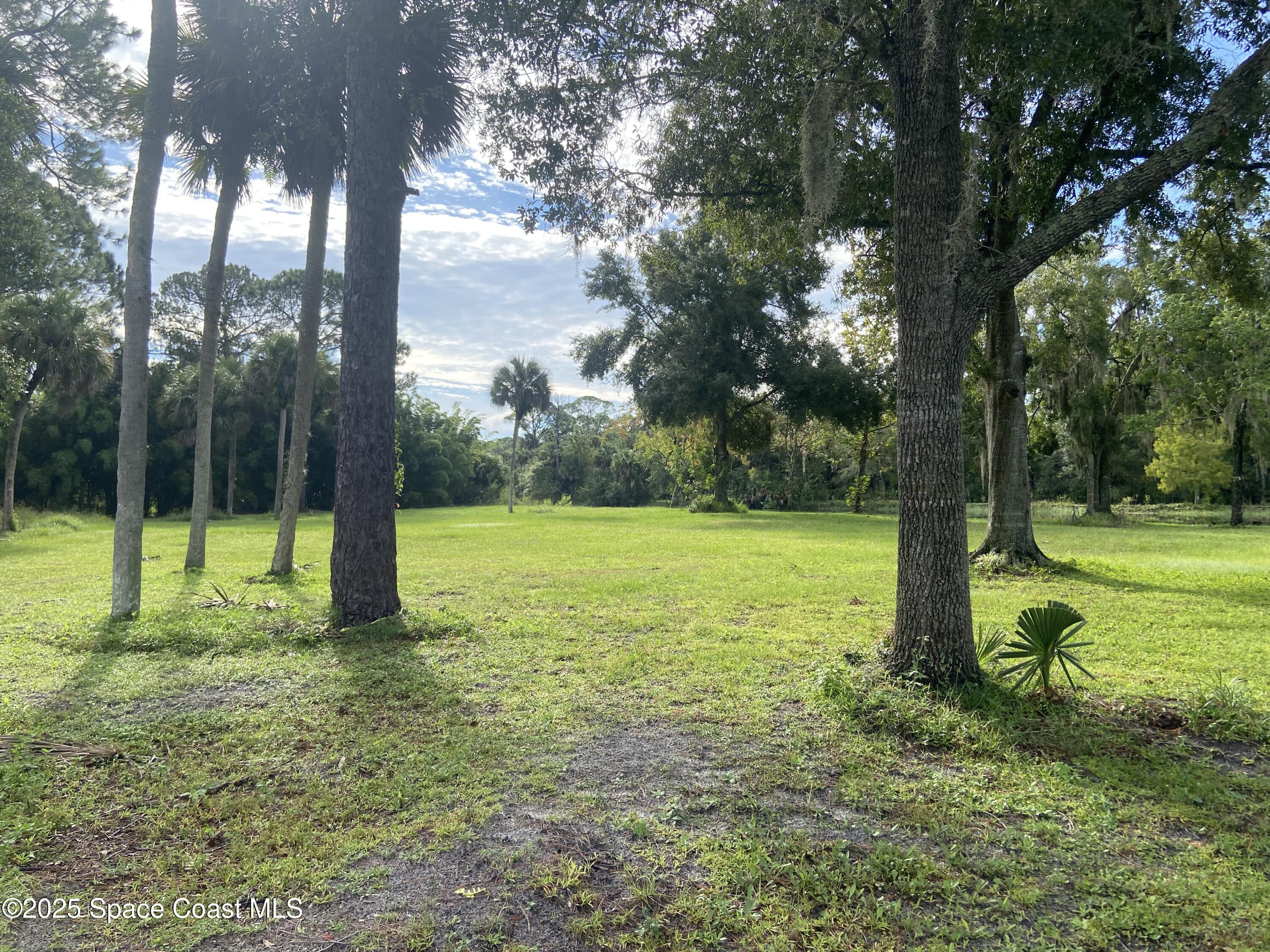4655 Rector Road Cocoa, FL 32926 - Photo 4 of 47 a view of a garden with a tree