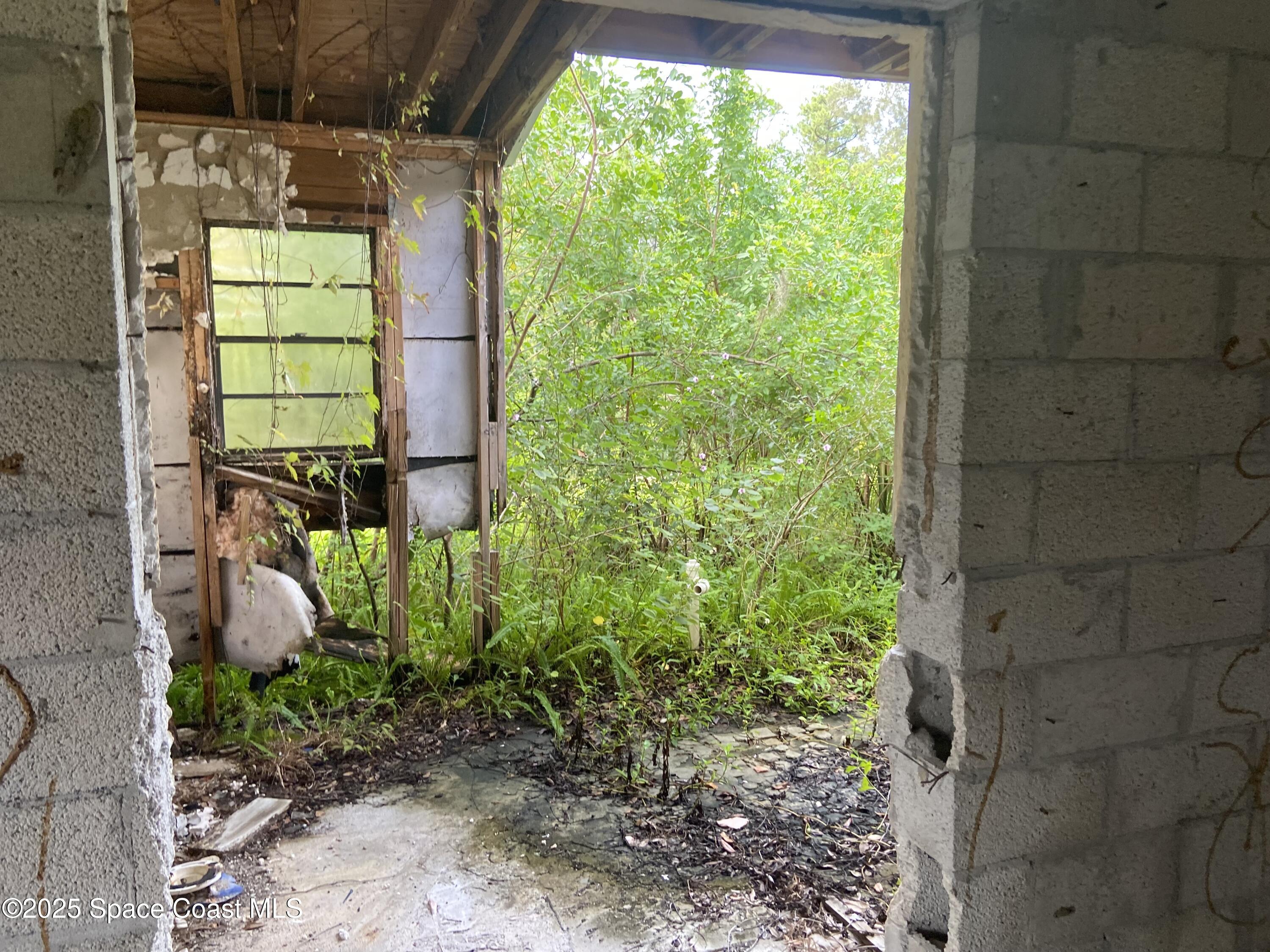 4655 Rector Road Cocoa, FL 32926 - Photo 47 of 47 a backyard of a house with lots of green space