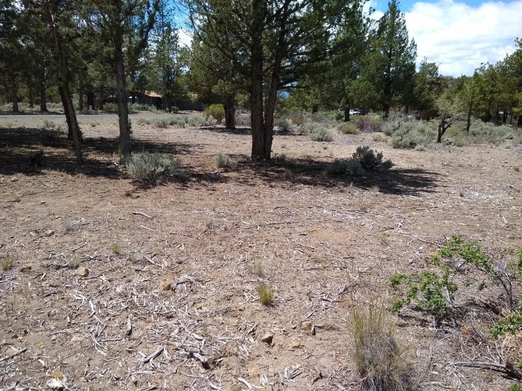 8 2/123 Archer Road Weed, CA 96094 - Photo 3 of 4 Gallery Image 3