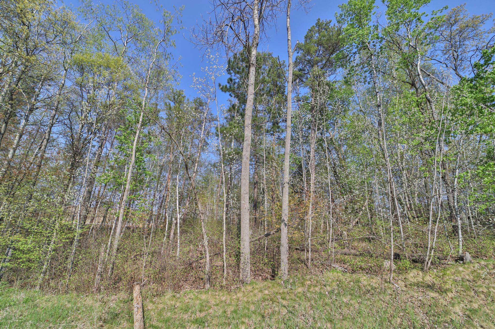 5-6 7 Terminal Road Breezy Point, MN 56472 - Photo 6 of 9