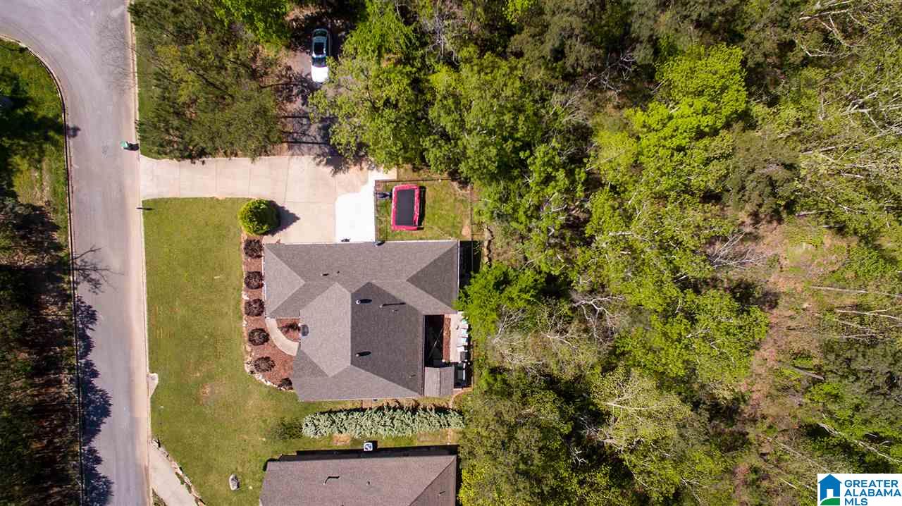 503 Cross Ridge Lane Odenville, AL 35120 - Photo 35 of 37