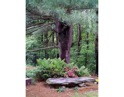 271 Shutesbury Road Leverett, MA 01054 - Photo 3 of 25