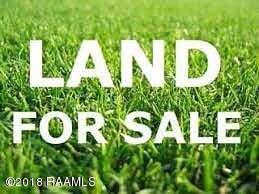 Tbd Critter Creek Road Opelousas, LA 70570 - Photo 1 of 1 STOCK LAND PICTURE