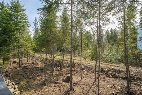 $485,000 | 1208 East Silver Pine Road, Colbert, WA 99005