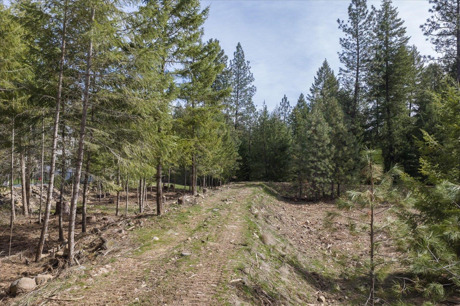 1208 East Silver Pine Road Colbert, WA 99005 - Photo 37 of 49