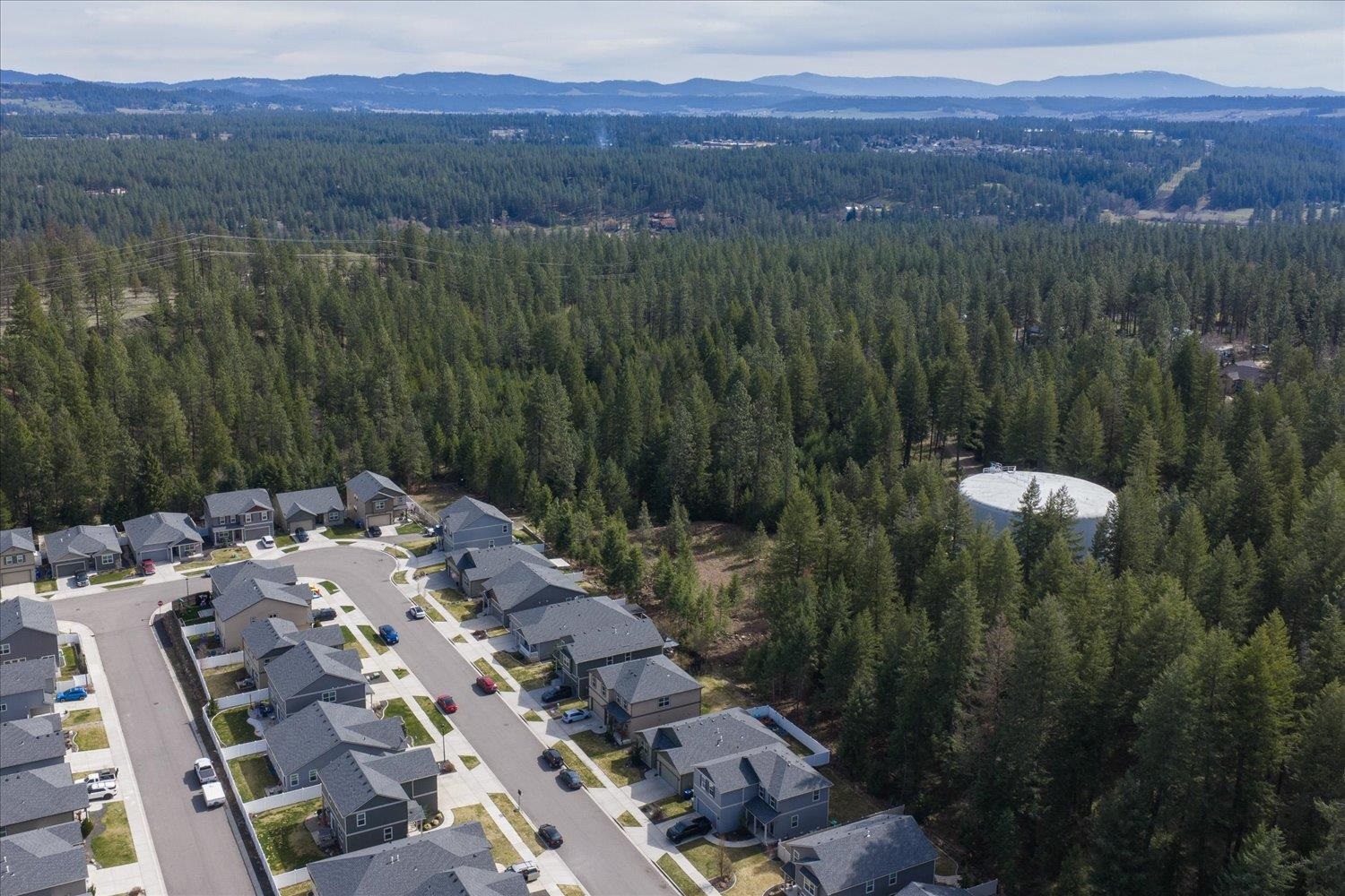 1208 East Silver Pine Road Colbert, WA 99005 - Photo 43 of 49