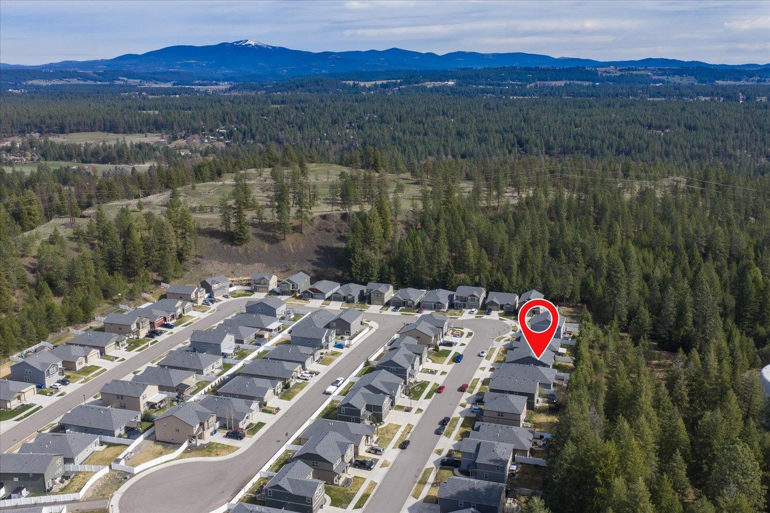 1208 East Silver Pine Road Colbert, WA 99005 - Photo 46 of 49