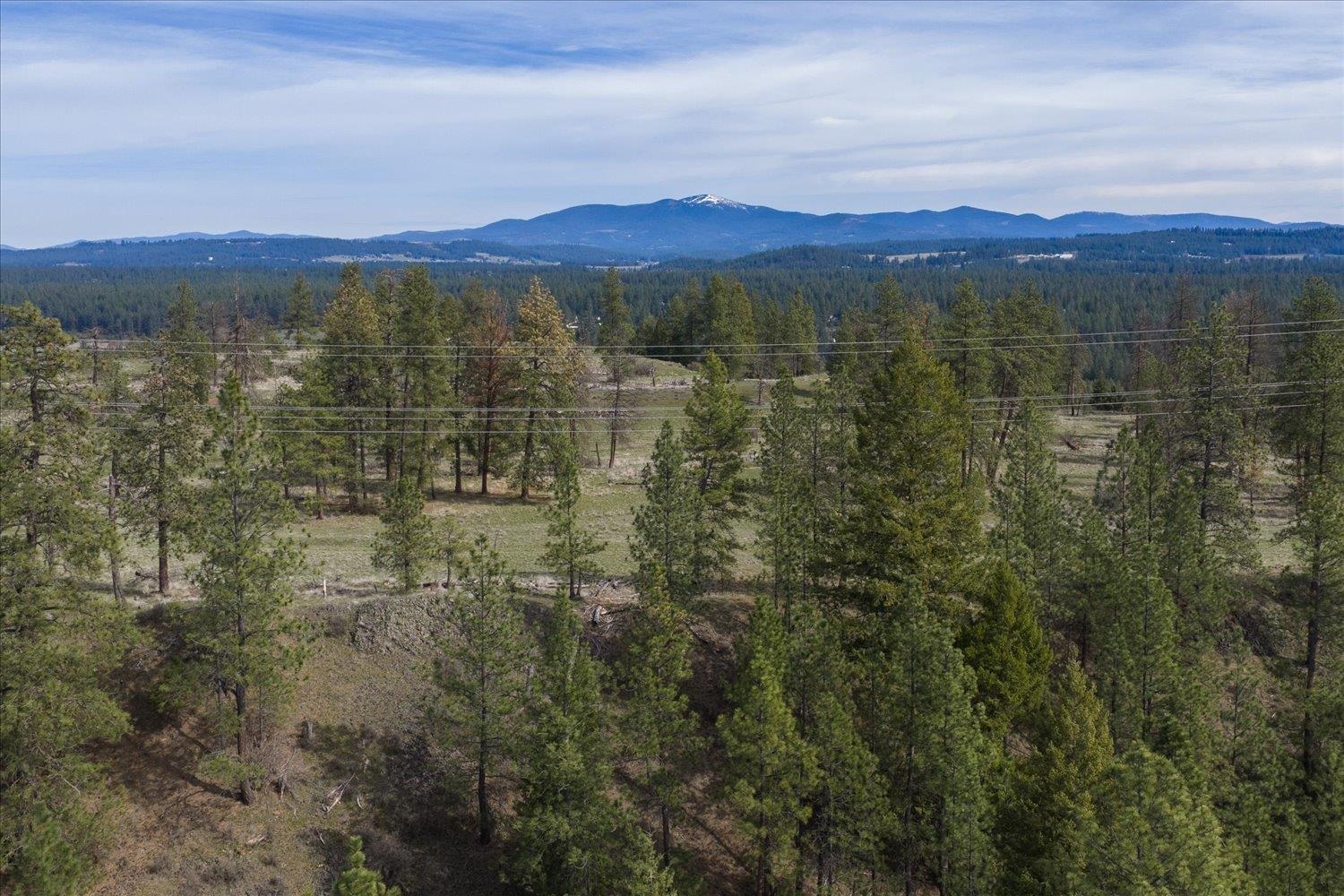 1208 East Silver Pine Road Colbert, WA 99005 - Photo 48 of 49