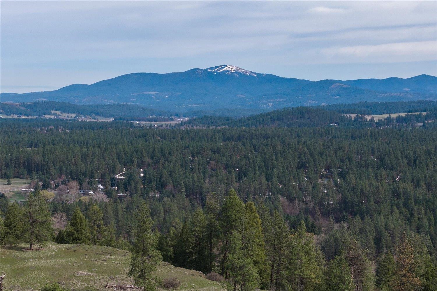 1208 East Silver Pine Road Colbert, WA 99005 - Photo 49 of 49