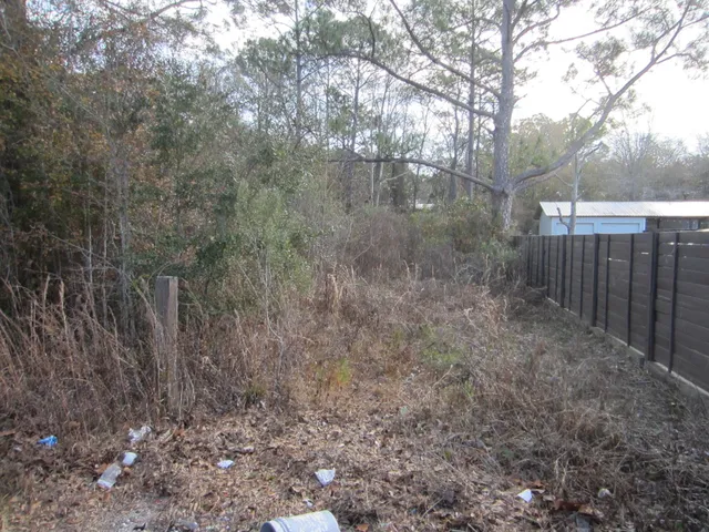 a view of a yard with large trees