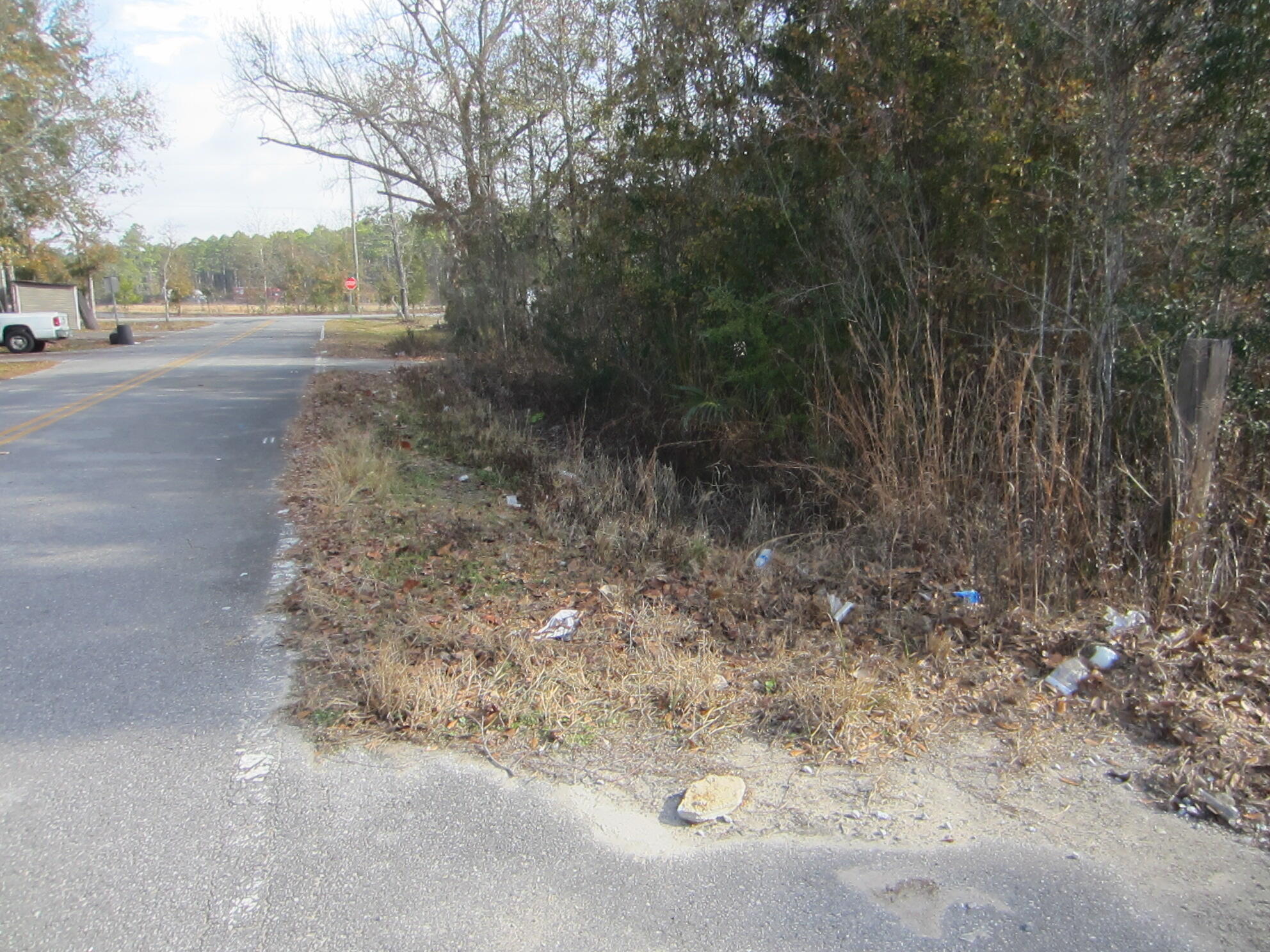 Lot 4 Park Road Freeport, FL 32439 - Photo 4 of 5 a view of a yard with large trees