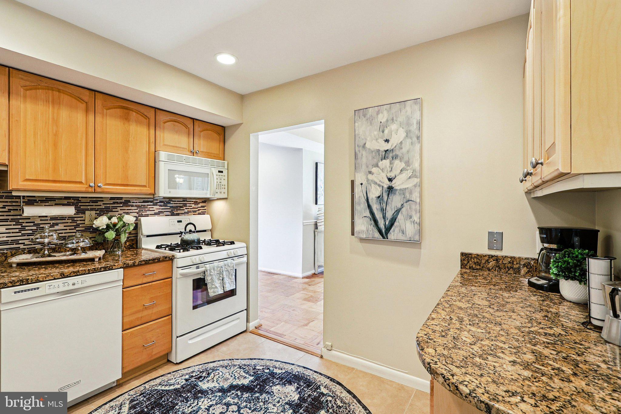 9900 Georgia Avenue, Unit 27217 Silver Spring, MD 20902 - Photo 14 of 48 Kitchen with tons of cabinet space!