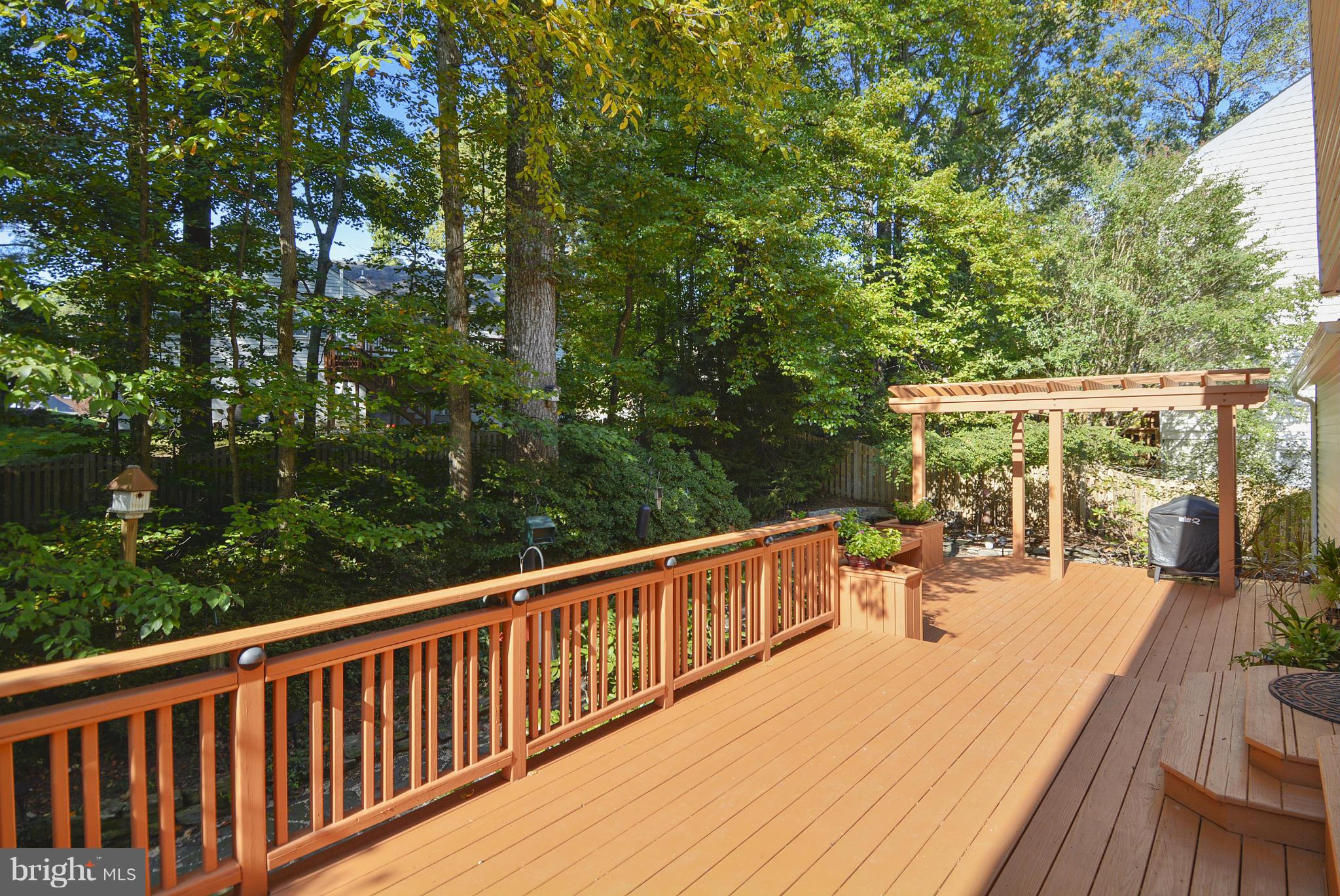 8314 Magic Leaf Road Springfield, VA 22153 - Photo 4 of 30 Exterior (Rear)