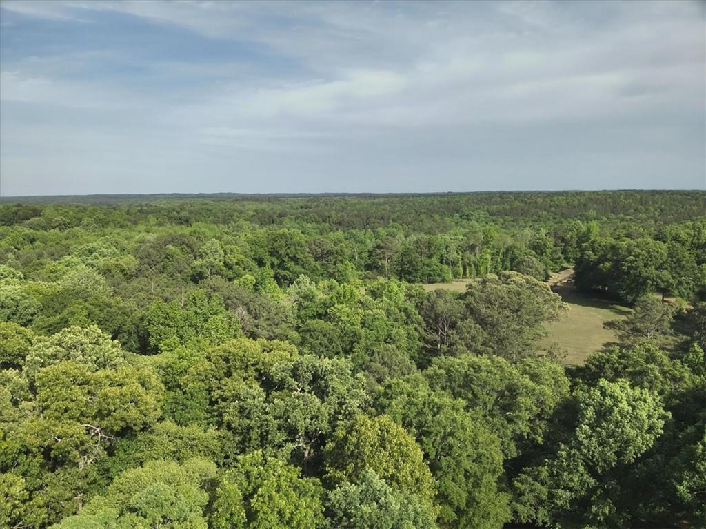 2033 Peeksville Road Locust Grove, GA 30248 - Photo 67 of 81 Gallery Image 67