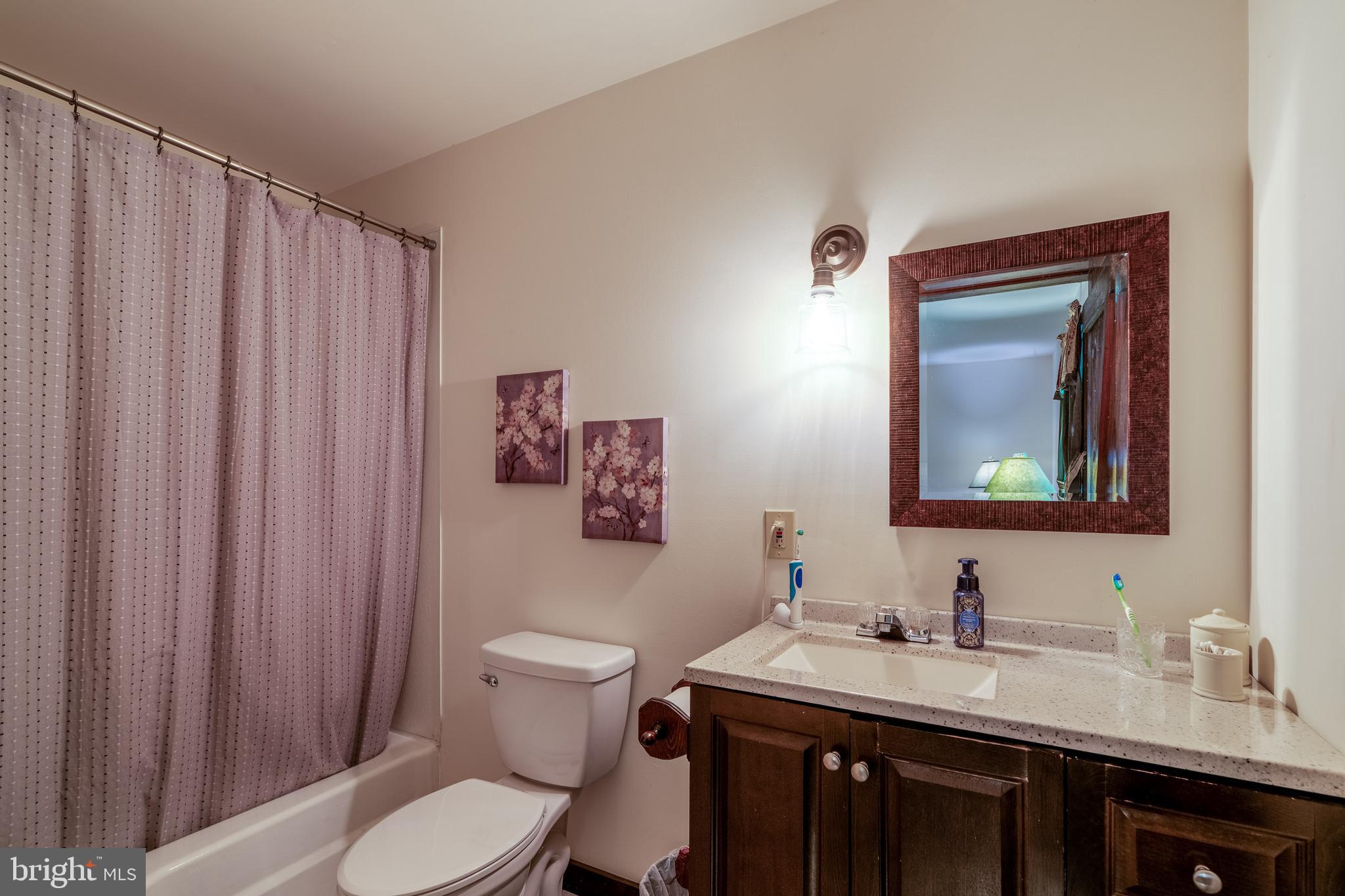 135 Fraelich Road Denver, PA 17517 - Photo 39 of 53 a bathroom with a toilet a sink and a mirror
