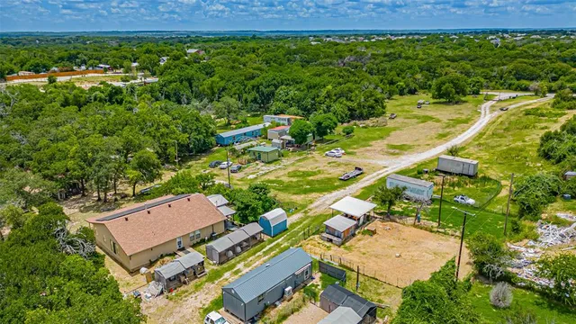 a view of a yard with plants and large trees