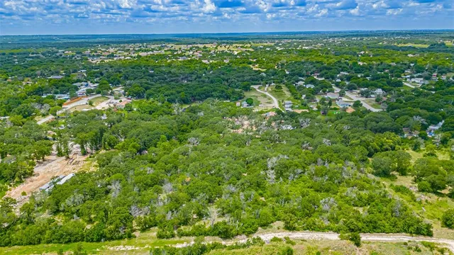 a view of a big yard with plants and large tree